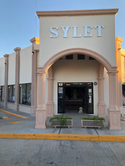 Cruella Renta de vestidos en Santa Rosalia de Camargo