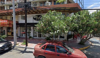 Leal de los Santos Apolonio en San Pedro Garza Garcia