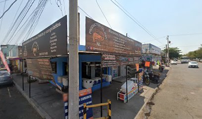 RECA Venta & Renta de Vestidos en Culiacan Rosales