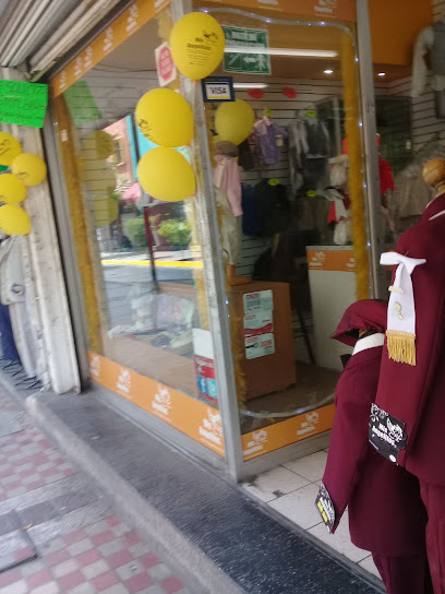 Renta de vestidos AleAle en Guadalajara